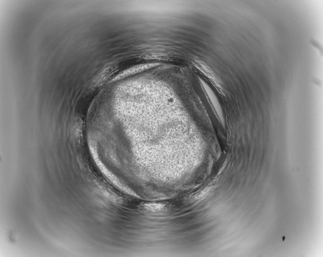 X0000093430265200711021040