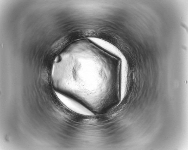 X0000093430266200711021040