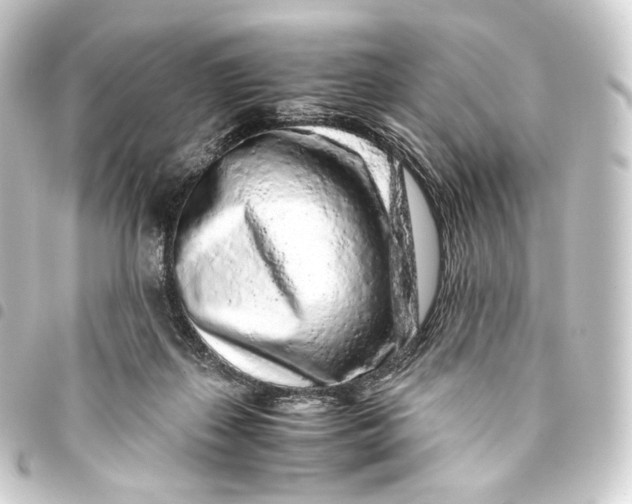 X0000093430267200711021040