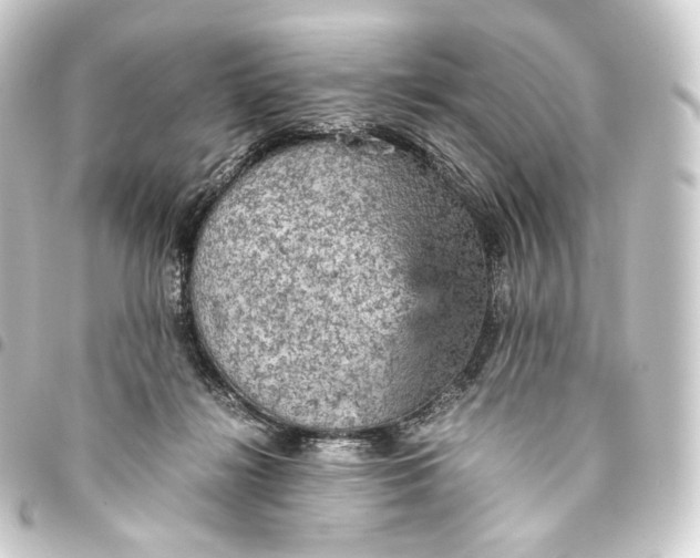 X0000093430268200711021040