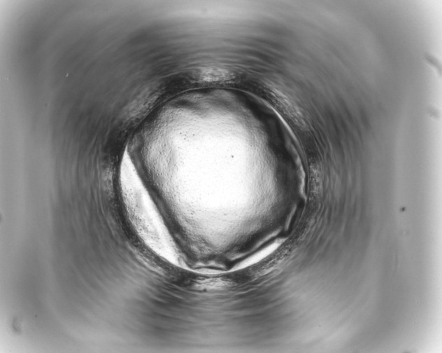 X0000093430269200711021040