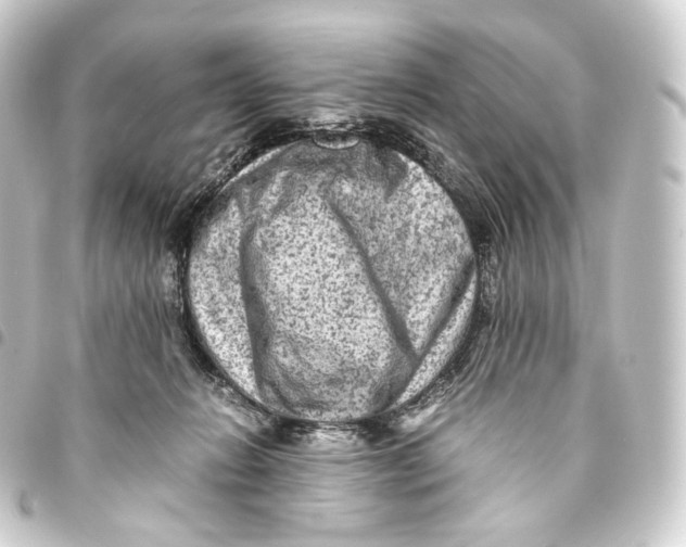 X0000093430270200711021040