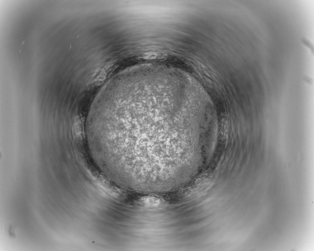 X0000093430272200711021040