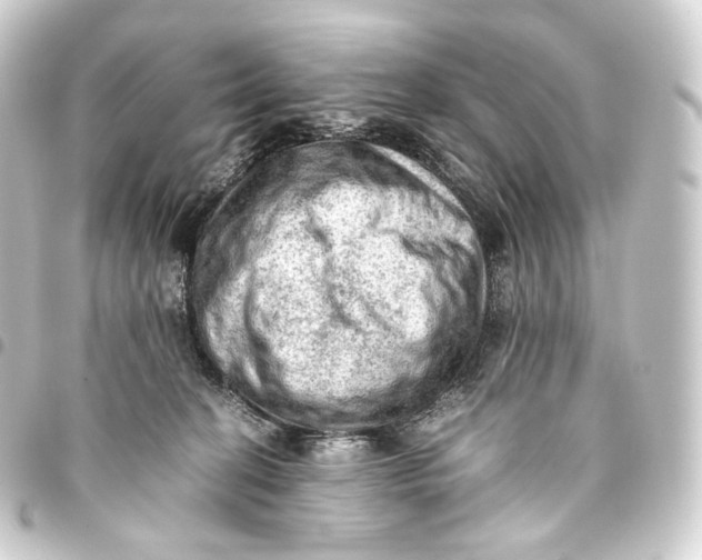 X0000093430274200711021040