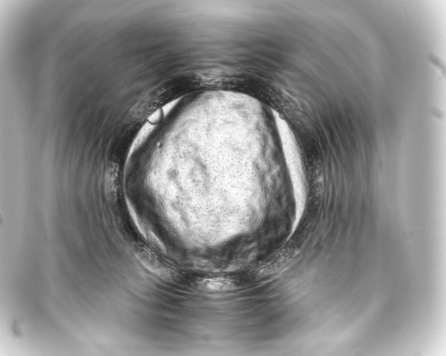 X0000093430275200711021040