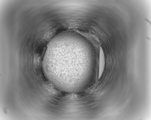 X0000093430276200711021040