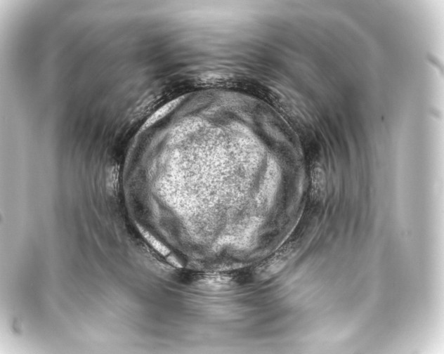 X0000093430278200711021041