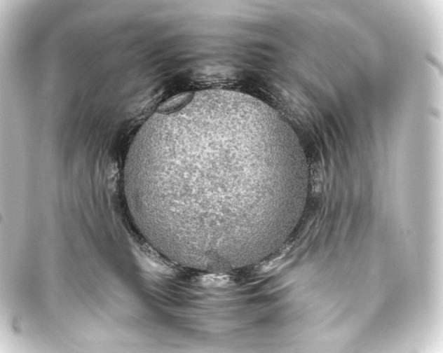 X0000093430279200711021041