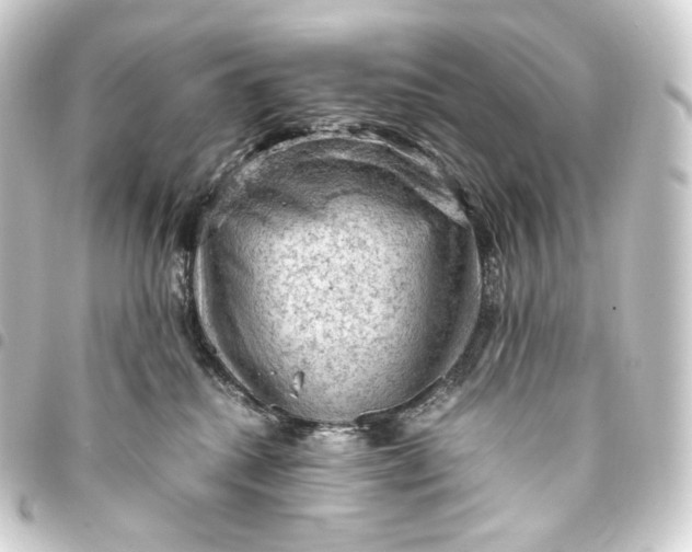 X0000093430280200711021041