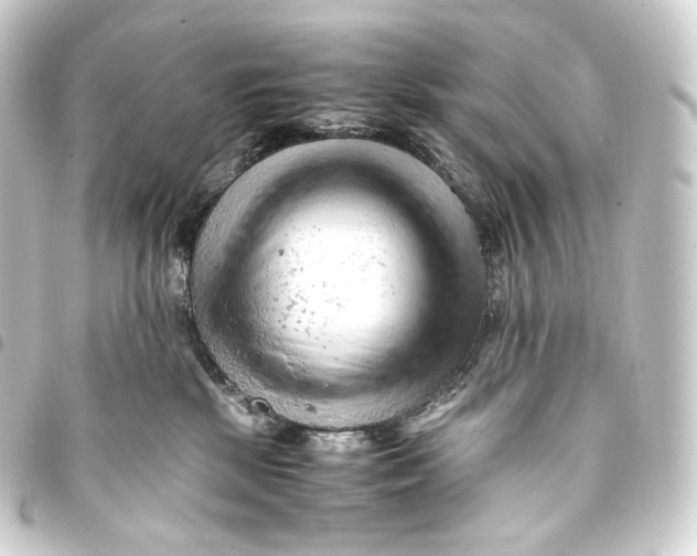 X0000093430281200711021041