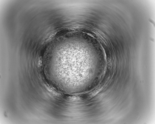 X0000093430284200711021041