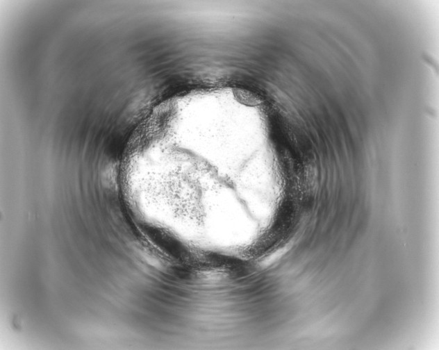 X0000093430286200711021041