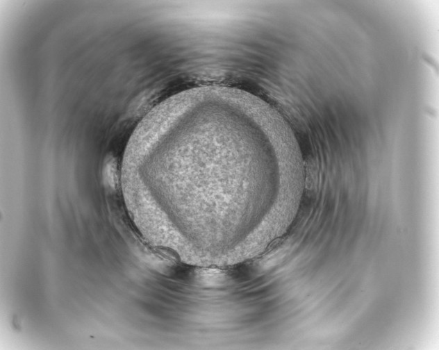 X0000093430287200711021041