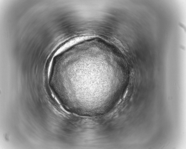 X0000093430290200711021040