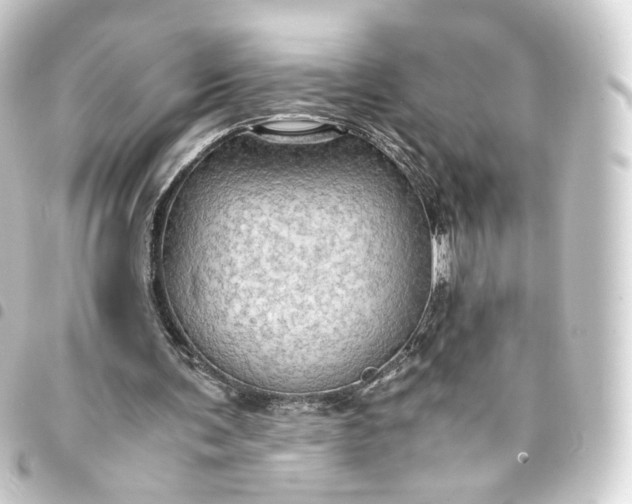 X0000093430291200711021040