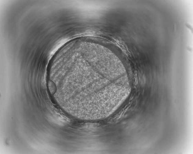 X0000093430292200711021040