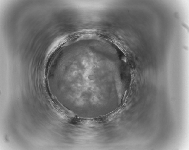 X0000093430293200711021040