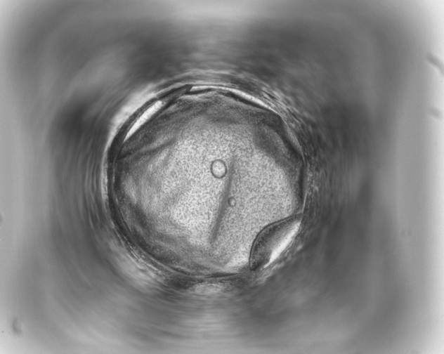 X0000093430294200711021040