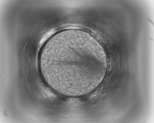 X0000093430296200711021040