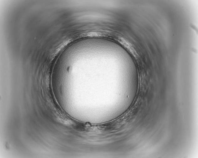 X0000093430297200711021040