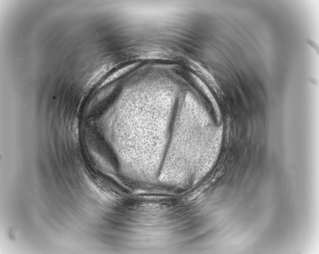 X0000093430298200711021040