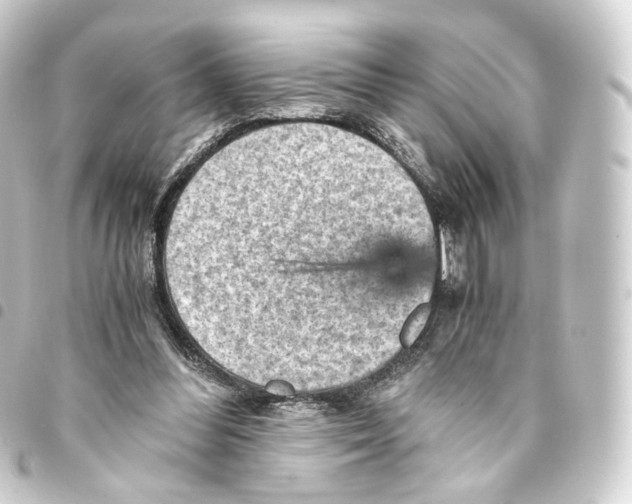 X0000093430300200711021040