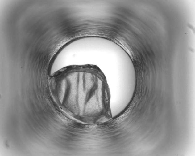 X0000093430301200711021040