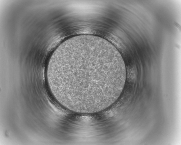 X0000093430302200711021040