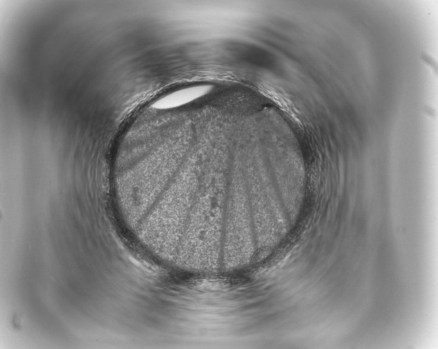 X0000093430303200711021040