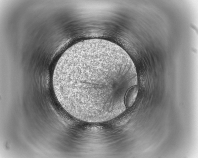 X0000093430304200711021040