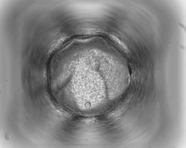 X0000093430306200711021040