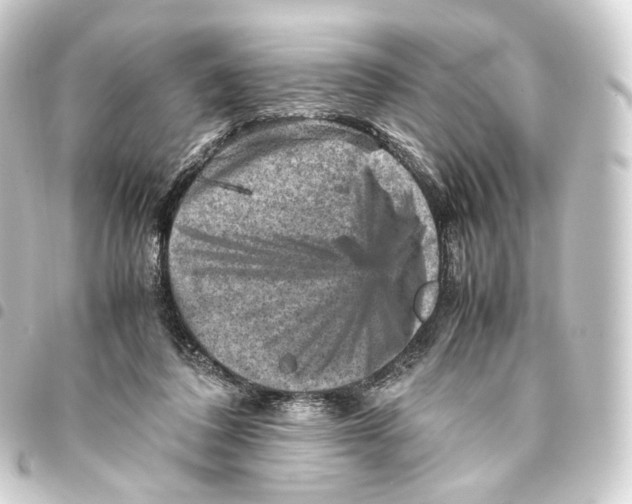 X0000093430308200711021040