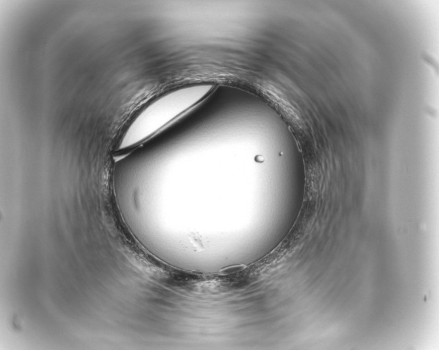 X0000093430309200711021040