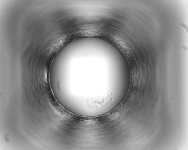 X0000093430310200711021040