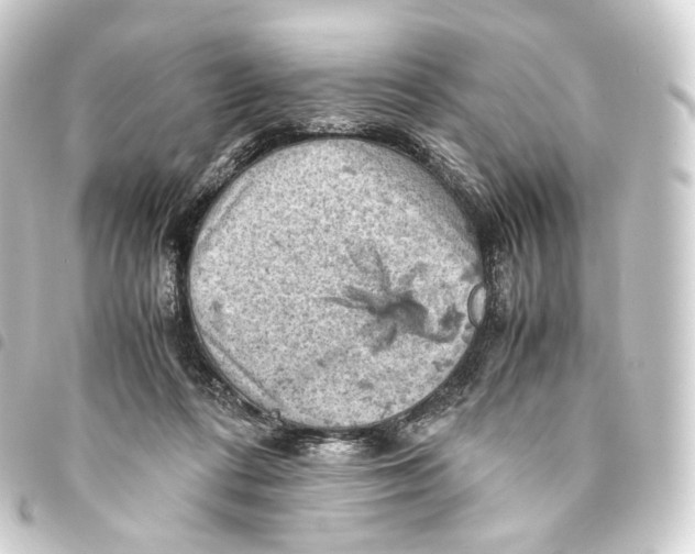 X0000093430312200711021040