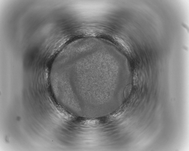 X0000093430314200711021040