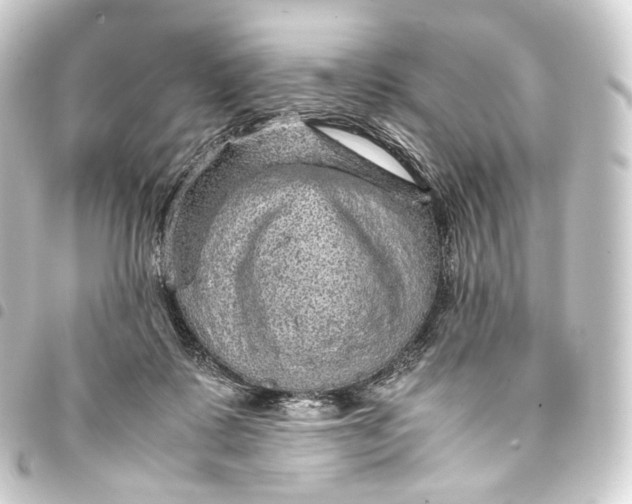 X0000093430315200711021040