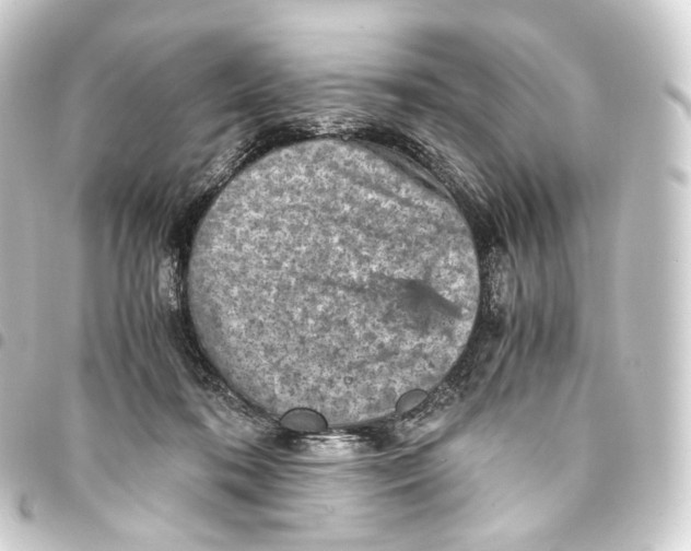 X0000093430316200711021040