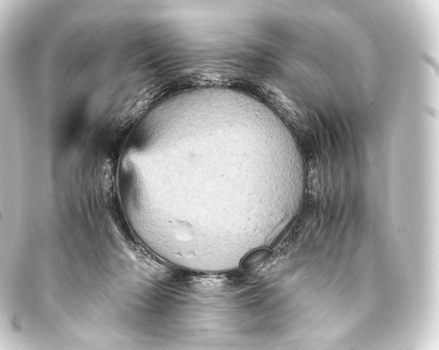 X0000093430318200711021040