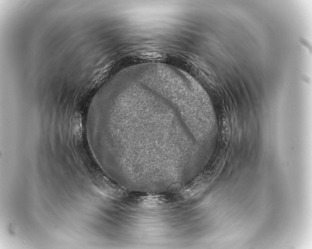 X0000093430320200711021040