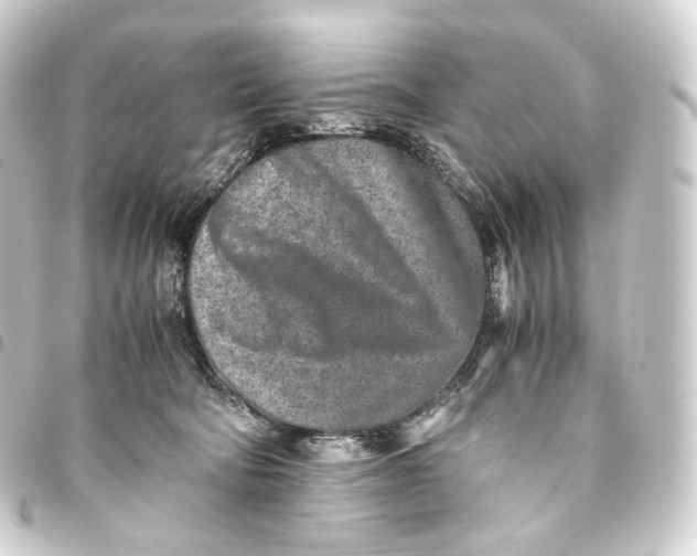 X0000093430322200711021039