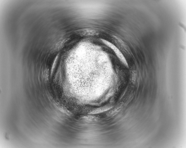 X0000093430326200711021039