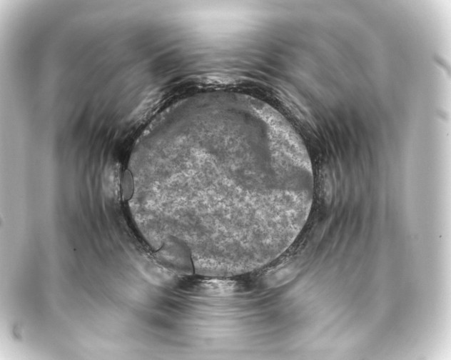 X0000093430328200711021039