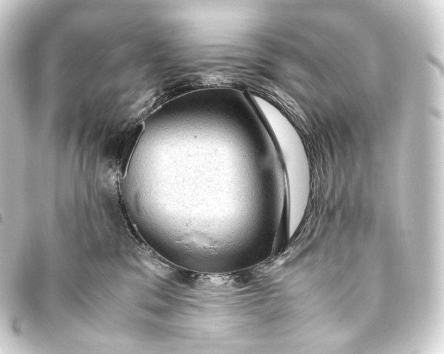 X0000093430329200711021039