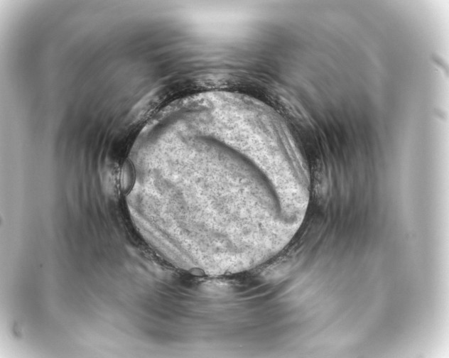 X0000093430332200711021039