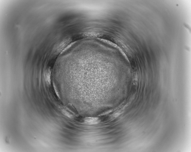 X0000093430334200711021039