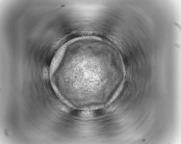 X0000093430335200711021039