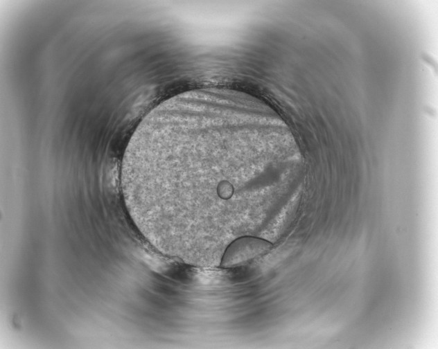 X0000093430336200711021039