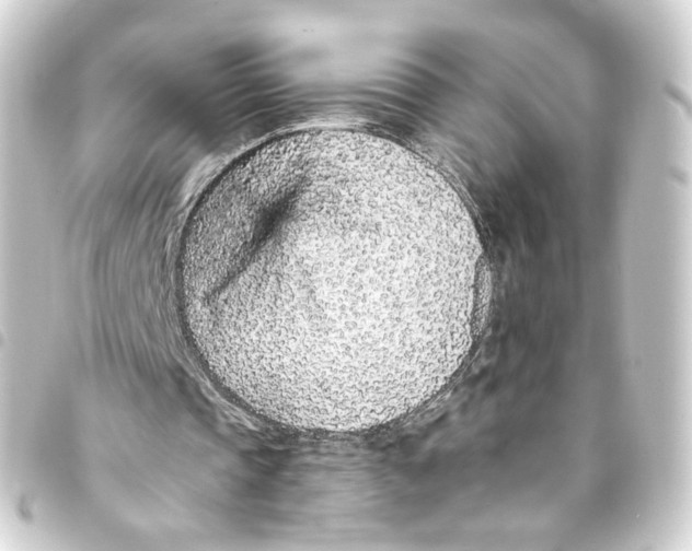 X0000093430337200711021039