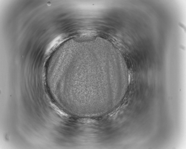 X0000093430339200711021039